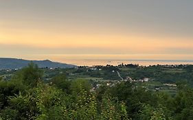 Guesthouse Green Istria