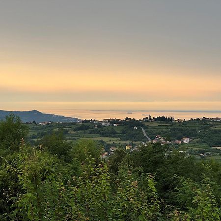 Guesthouse Green Istria Truške Esterno foto