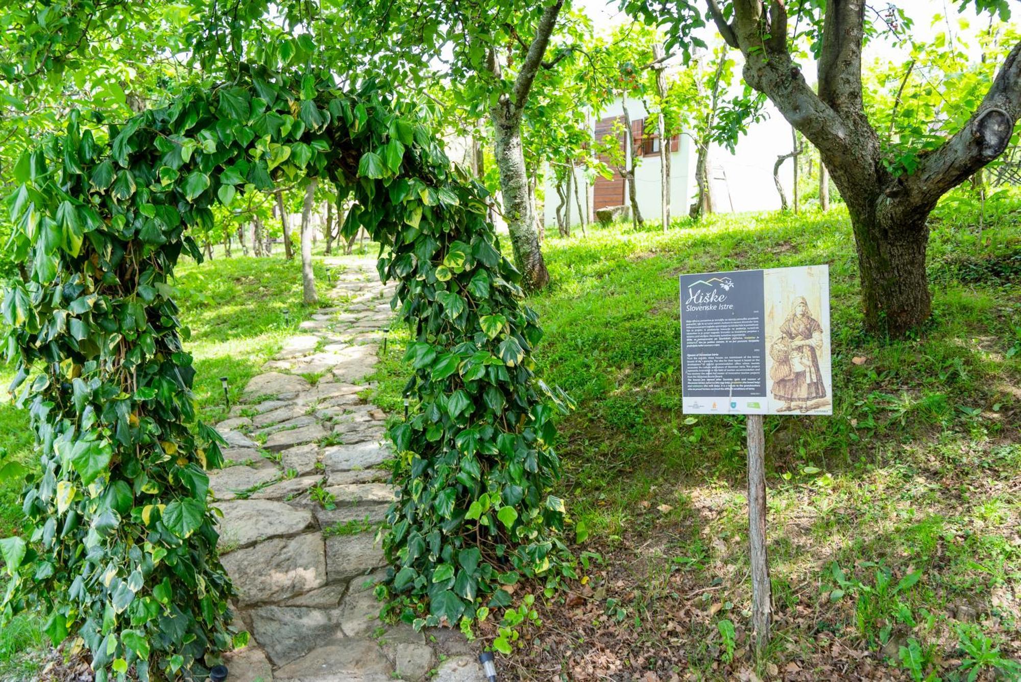 Guesthouse Green Istria Truške Esterno foto
