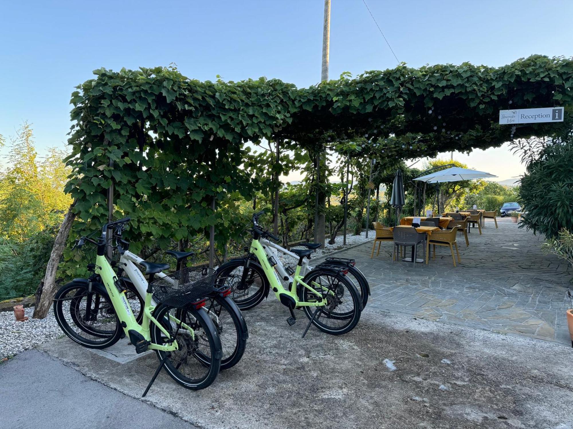 Guesthouse Green Istria Truške Esterno foto