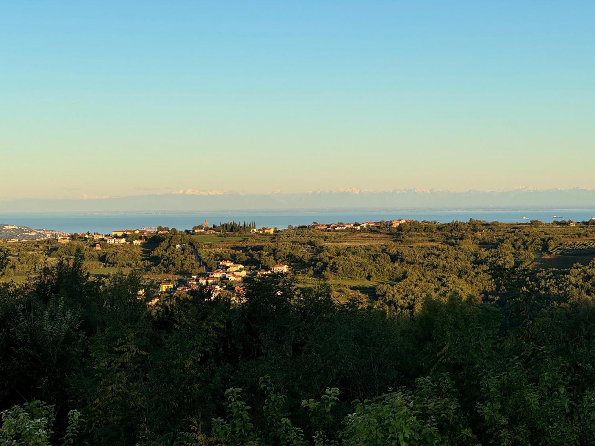Guesthouse Green Istria Truške Esterno foto